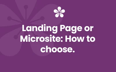 Landing Page or Microsite: How to Choose