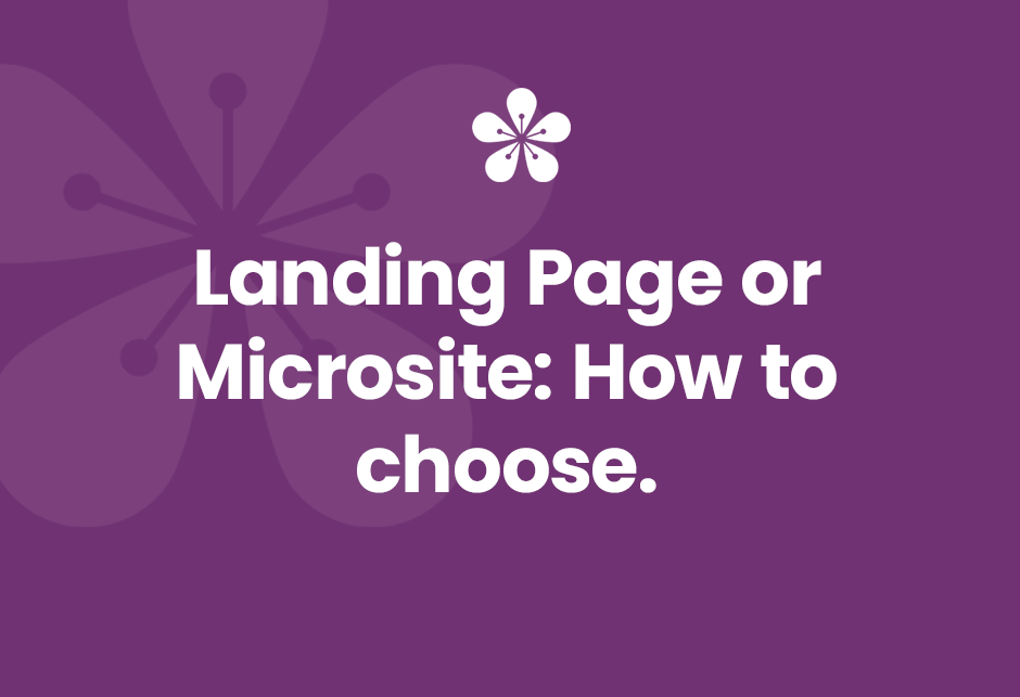 Landing Page or Microsite: How to Choose